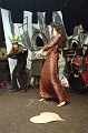 img00009