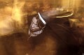 img00024
