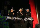 IMG 4203