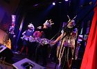 IMG 4334
