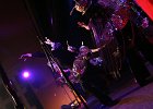 IMG 4335