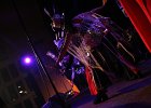 IMG 4336