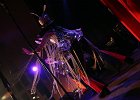 IMG 4337