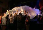 IMG 4630