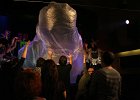IMG 4632