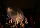 IMG 4640